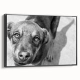Urban Architectural Wall Art – Black and White Dog Photography