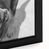 Urban Architectural Wall Art – Black and White Dog Photography