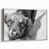 Urban Architectural Wall Art – Black and White Dog Photography