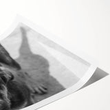 Urban Architectural Wall Art – Black and White Dog Photography