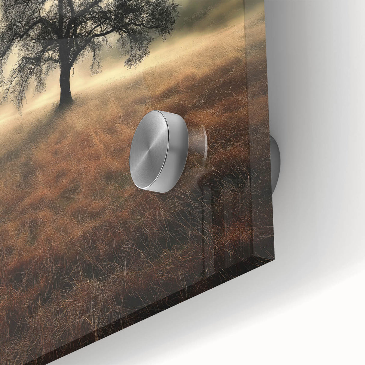 Golden Horizon Tree – Fine Art Photography Canvas Prints