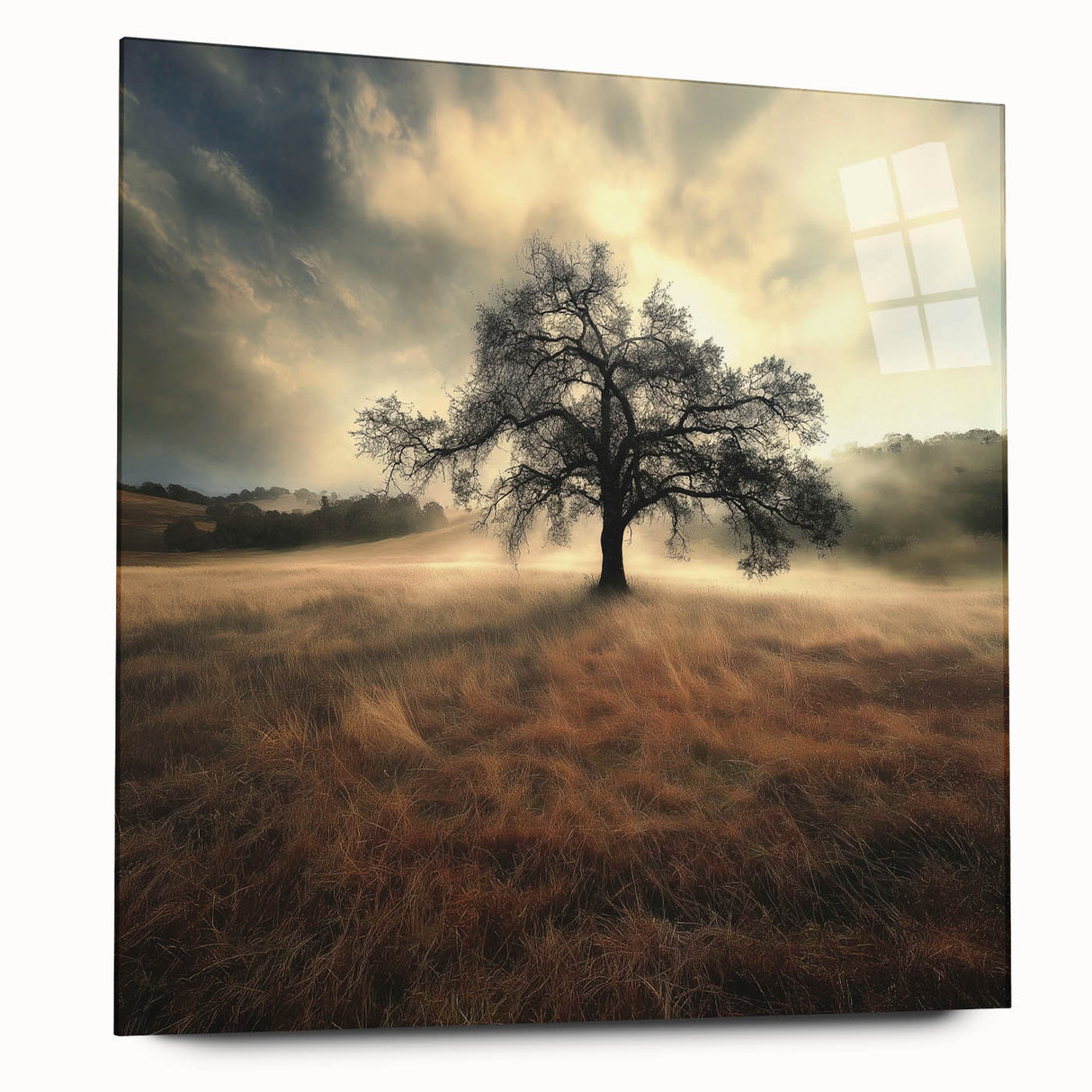 Golden Horizon Tree – Fine Art Photography Canvas Prints