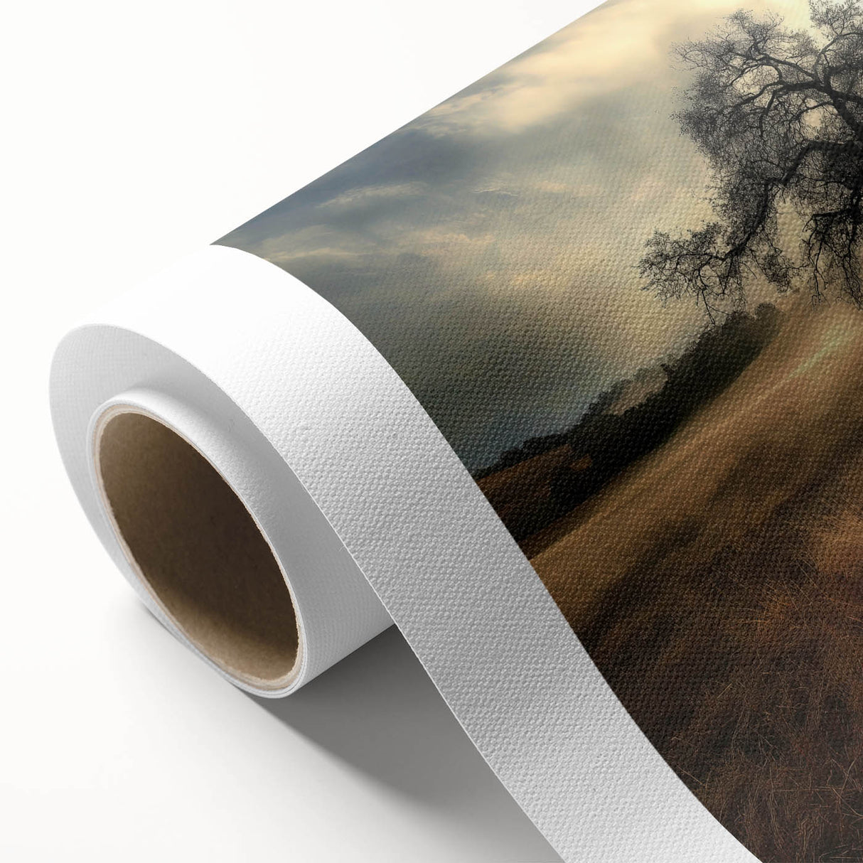 Golden Horizon Tree – Fine Art Photography Canvas Prints