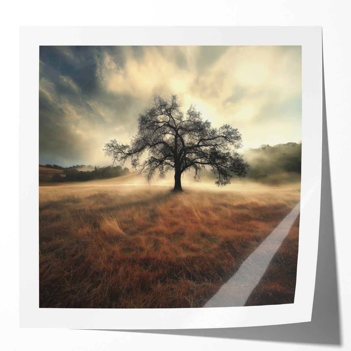 Golden Horizon Tree – Fine Art Photography Canvas Prints