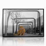Urban Skyline Canvas Prints – Cat in City Symmetry Street Scene