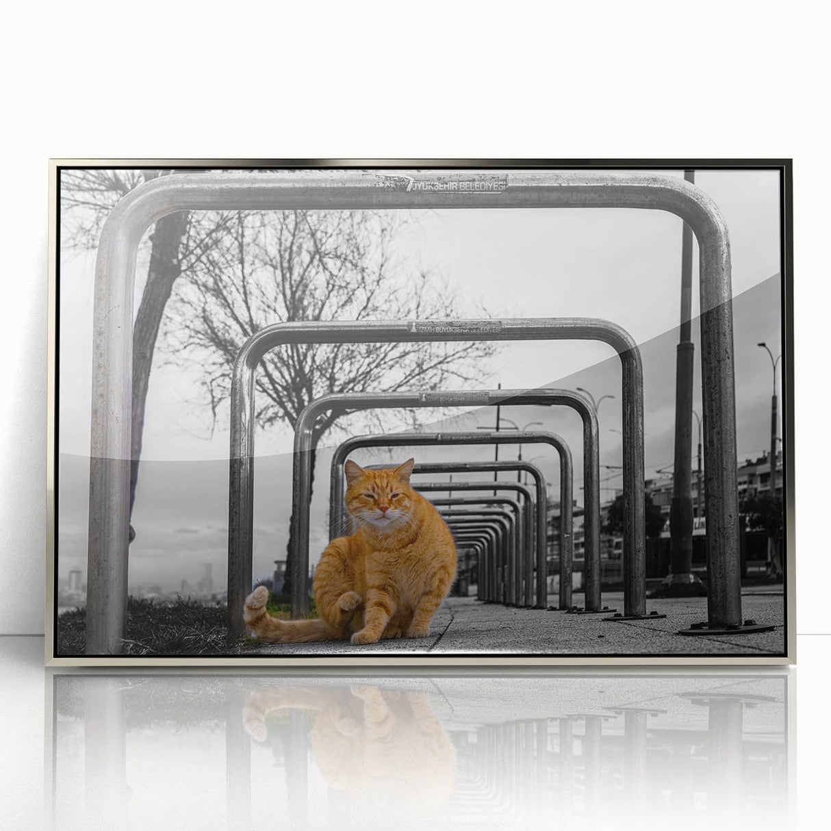 Urban Skyline Canvas Prints – Cat in City Symmetry Street Scene