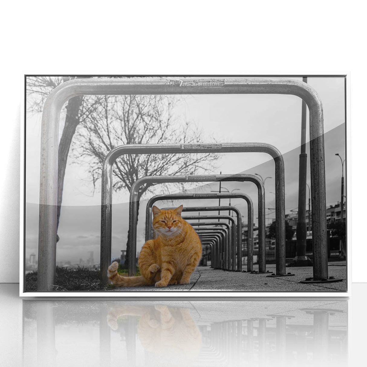 Urban Skyline Canvas Prints – Cat in City Symmetry Street Scene