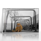 Urban Skyline Canvas Prints – Cat in City Symmetry Street Scene