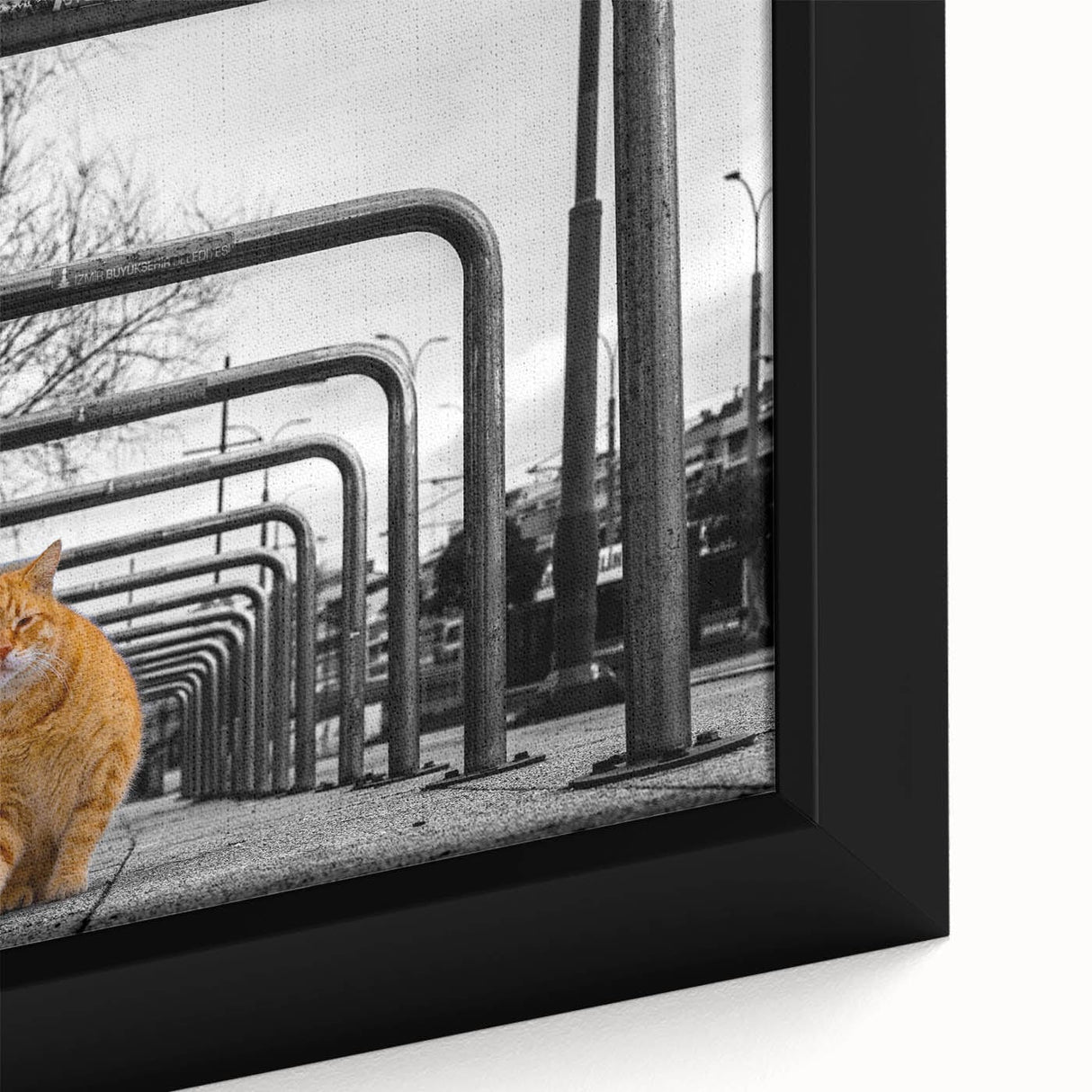 Urban Skyline Canvas Prints – Cat in City Symmetry Street Scene