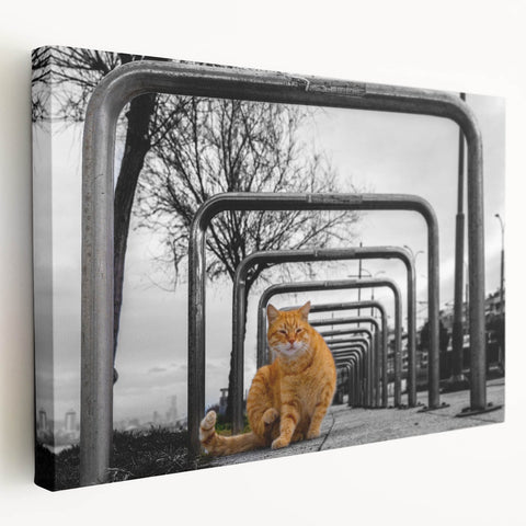 Urban Skyline Canvas Prints – Cat in City Symmetry Street Scene
