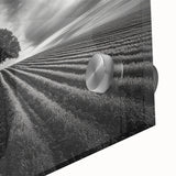 Lone Tree Horizon – Fine Art Photography Canvas Prints