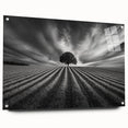 Lone Tree Horizon – Fine Art Photography Canvas Prints