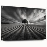Lone Tree Horizon – Fine Art Photography Canvas Prints