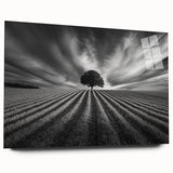 Lone Tree Horizon – Fine Art Photography Canvas Prints