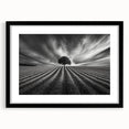 Lone Tree Horizon – Fine Art Photography Canvas Prints