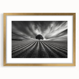 Lone Tree Horizon – Fine Art Photography Canvas Prints