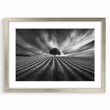 Lone Tree Horizon – Fine Art Photography Canvas Prints