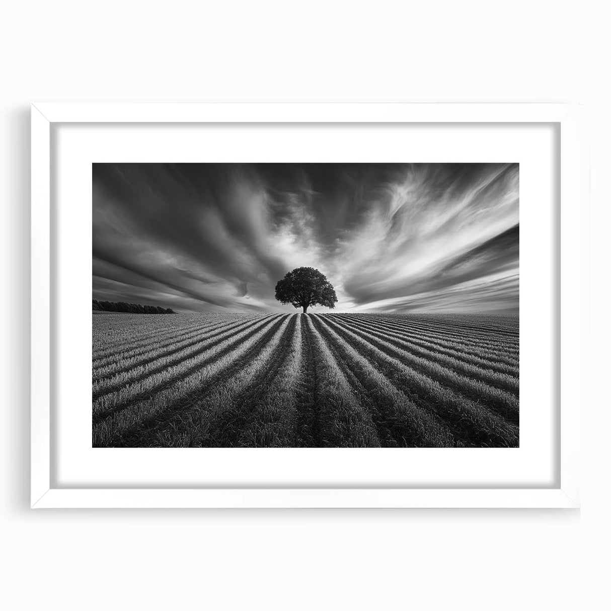 Lone Tree Horizon – Fine Art Photography Canvas Prints