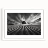 Lone Tree Horizon – Fine Art Photography Canvas Prints