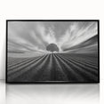 Lone Tree Horizon – Fine Art Photography Canvas Prints