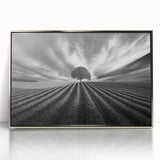 Lone Tree Horizon – Fine Art Photography Canvas Prints