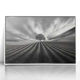 Lone Tree Horizon – Fine Art Photography Canvas Prints