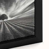 Lone Tree Horizon – Fine Art Photography Canvas Prints