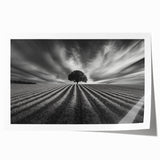 Lone Tree Horizon – Fine Art Photography Canvas Prints