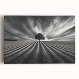 Lone Tree Horizon – Fine Art Photography Canvas Prints