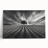 Lone Tree Horizon – Fine Art Photography Canvas Prints