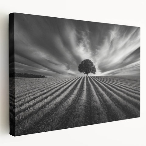 Lone Tree Horizon – Fine Art Photography Canvas Prints