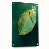 Abstract Minimalist Nature Art – Floating Leaf & Solitude Print