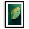 Abstract Minimalist Nature Art – Floating Leaf & Solitude Print