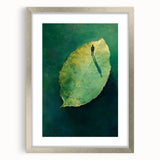 Abstract Minimalist Nature Art – Floating Leaf & Solitude Print