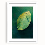 Abstract Minimalist Nature Art – Floating Leaf & Solitude Print