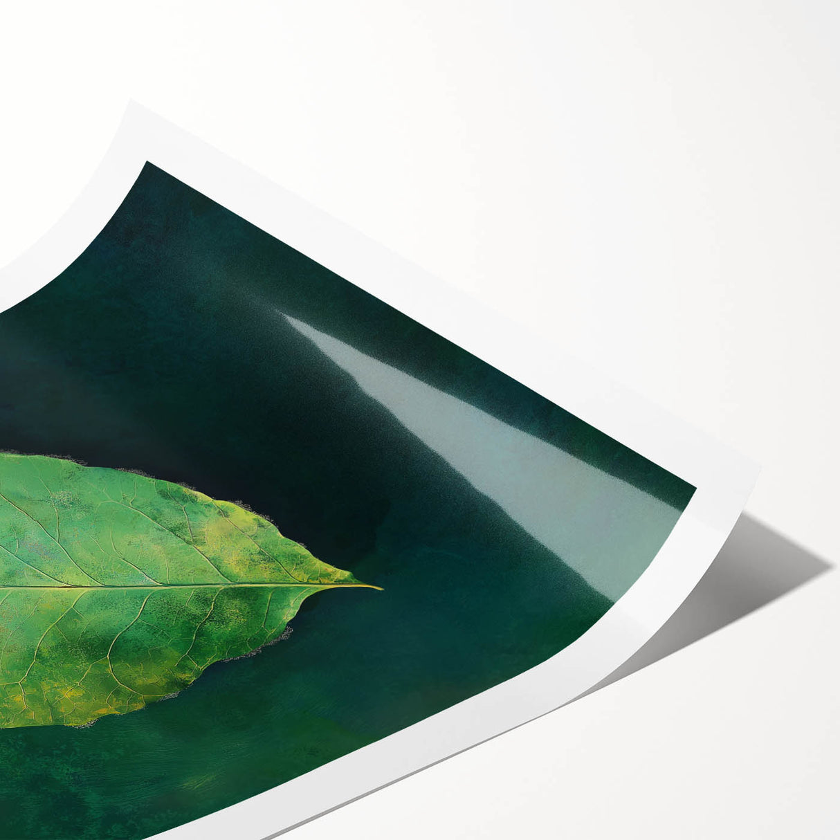 Abstract Minimalist Nature Art – Floating Leaf & Solitude Print