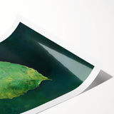 Abstract Minimalist Nature Art – Floating Leaf & Solitude Print