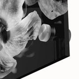 Hibiscus in Monochrome - Fine Art Photography Canvas Prints