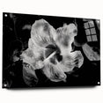 Hibiscus in Monochrome - Fine Art Photography Canvas Prints