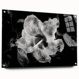Hibiscus in Monochrome - Fine Art Photography Canvas Prints