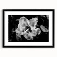 Hibiscus in Monochrome - Fine Art Photography Canvas Prints