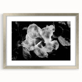 Hibiscus in Monochrome - Fine Art Photography Canvas Prints