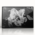 Hibiscus in Monochrome - Fine Art Photography Canvas Prints
