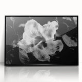 Hibiscus in Monochrome - Fine Art Photography Canvas Prints