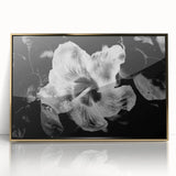 Hibiscus in Monochrome - Fine Art Photography Canvas Prints