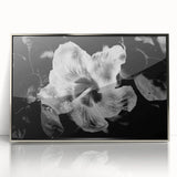 Hibiscus in Monochrome - Fine Art Photography Canvas Prints