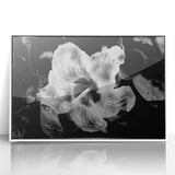 Hibiscus in Monochrome - Fine Art Photography Canvas Prints