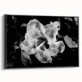 Hibiscus in Monochrome - Fine Art Photography Canvas Prints