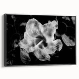 Hibiscus in Monochrome - Fine Art Photography Canvas Prints