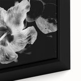 Hibiscus in Monochrome - Fine Art Photography Canvas Prints